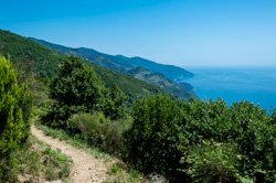 High Trail from Monterosso to Vernazza, Cinque Terre, Italy